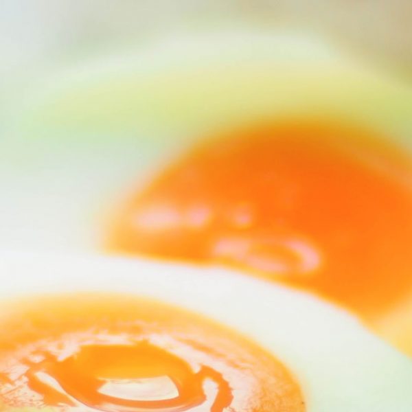 opson greek finest products