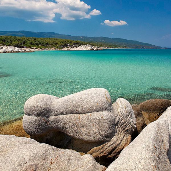 opson greek finest products