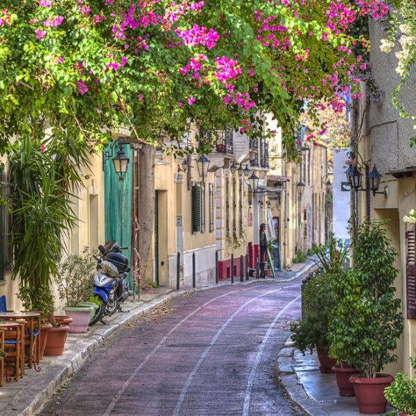 opson greek finest products